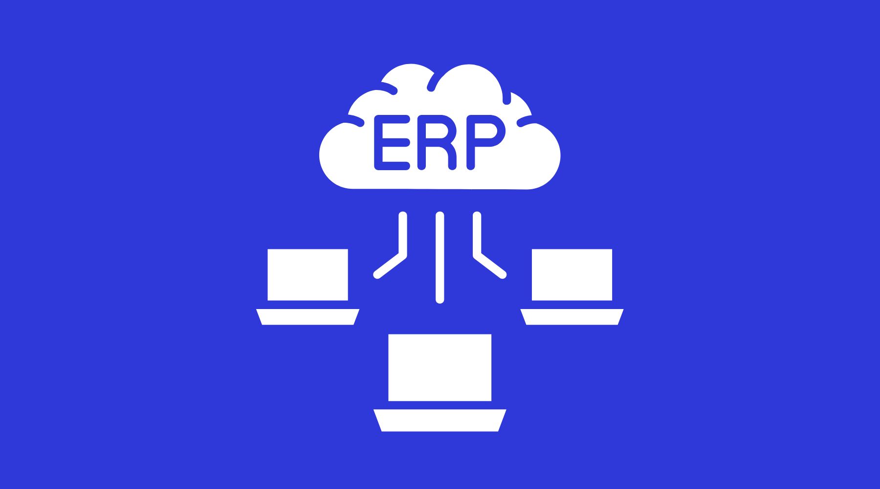 cac-phan-he-chinh-trong-he-thong-ERP